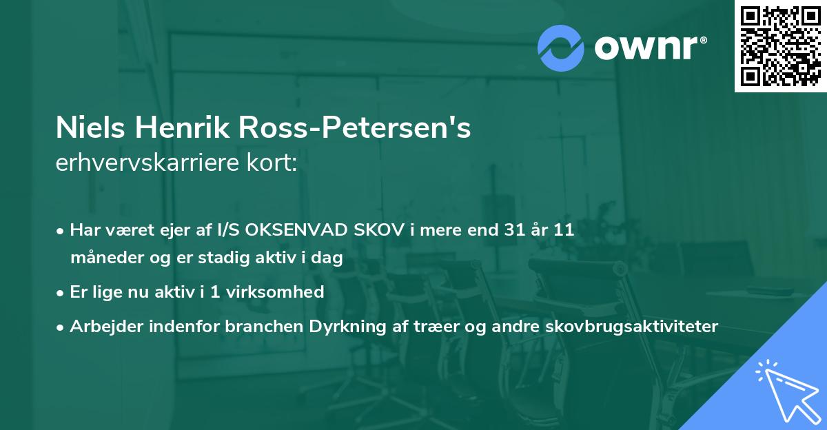 Niels Henrik Ross-Petersen's erhvervskarriere kort