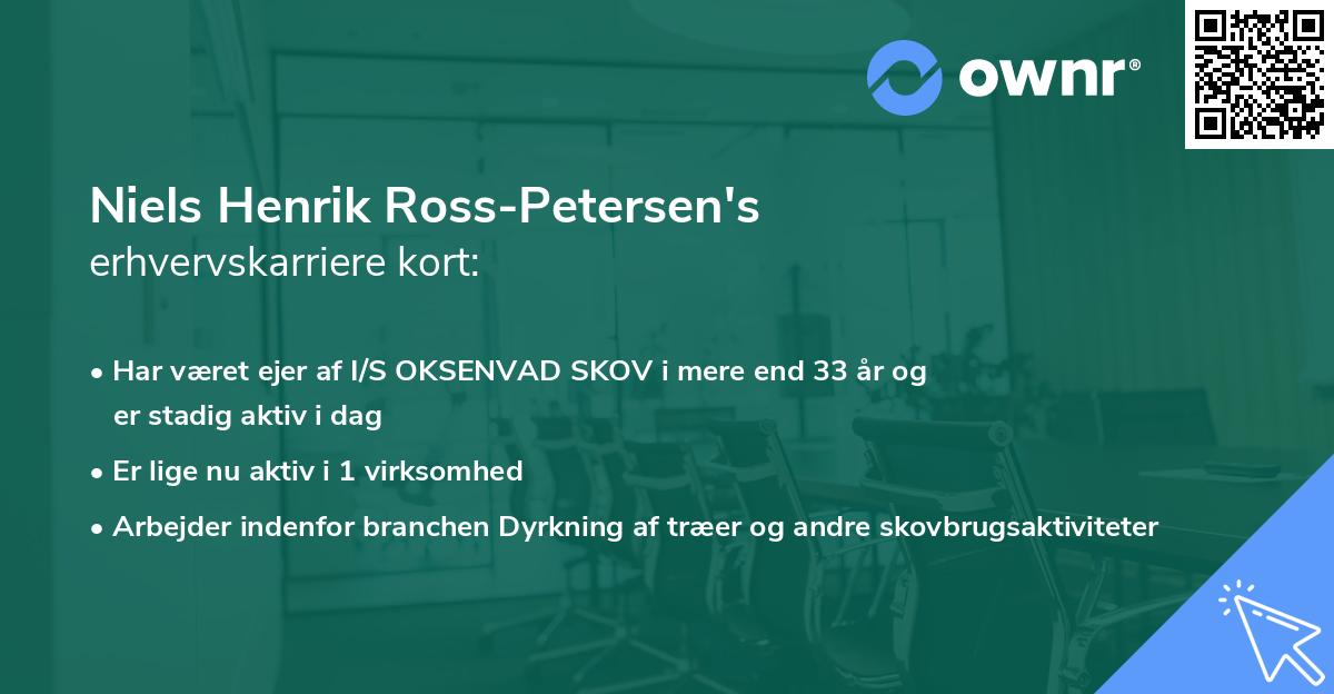 Niels Henrik Ross-Petersen's erhvervskarriere kort