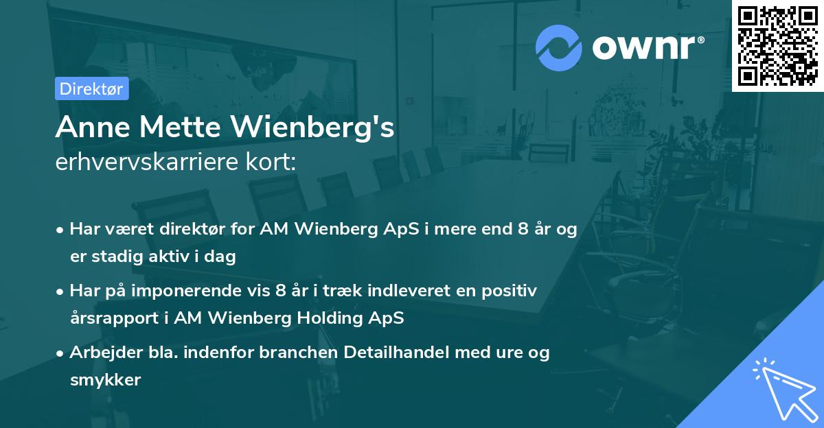 Anne Mette Wienberg's erhvervskarriere kort