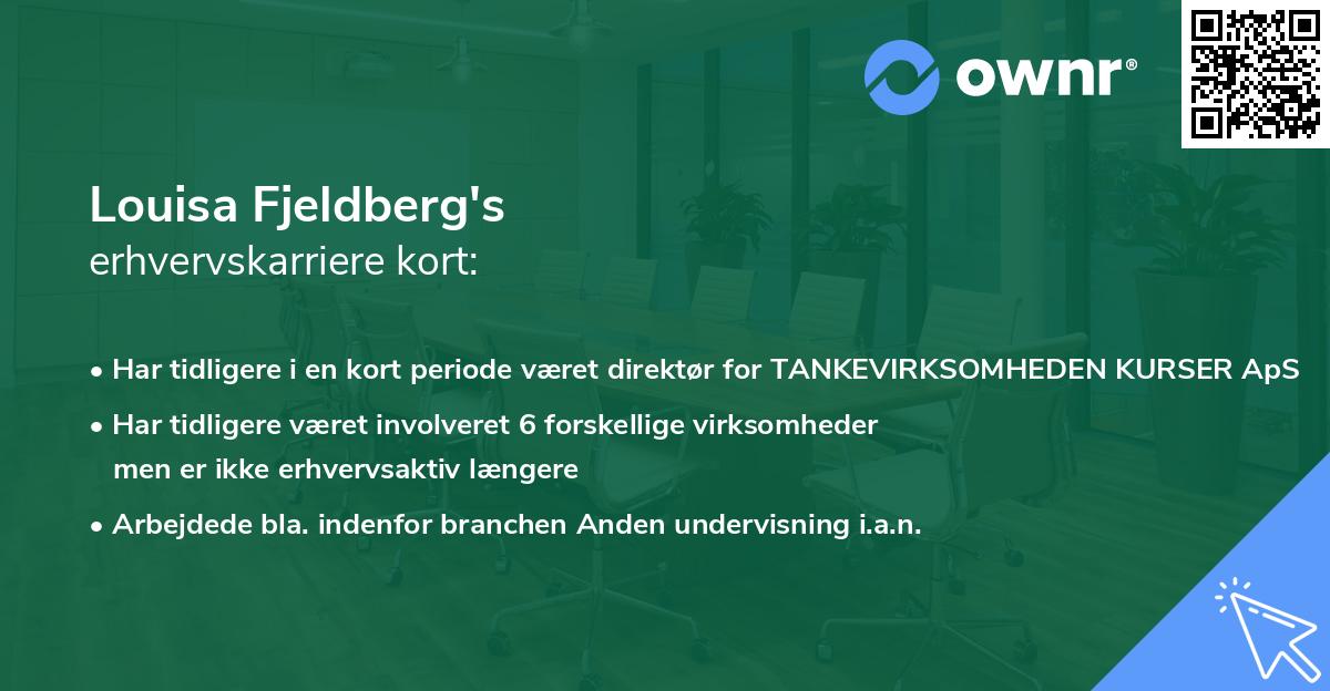 Louisa Fjeldberg's erhvervskarriere kort