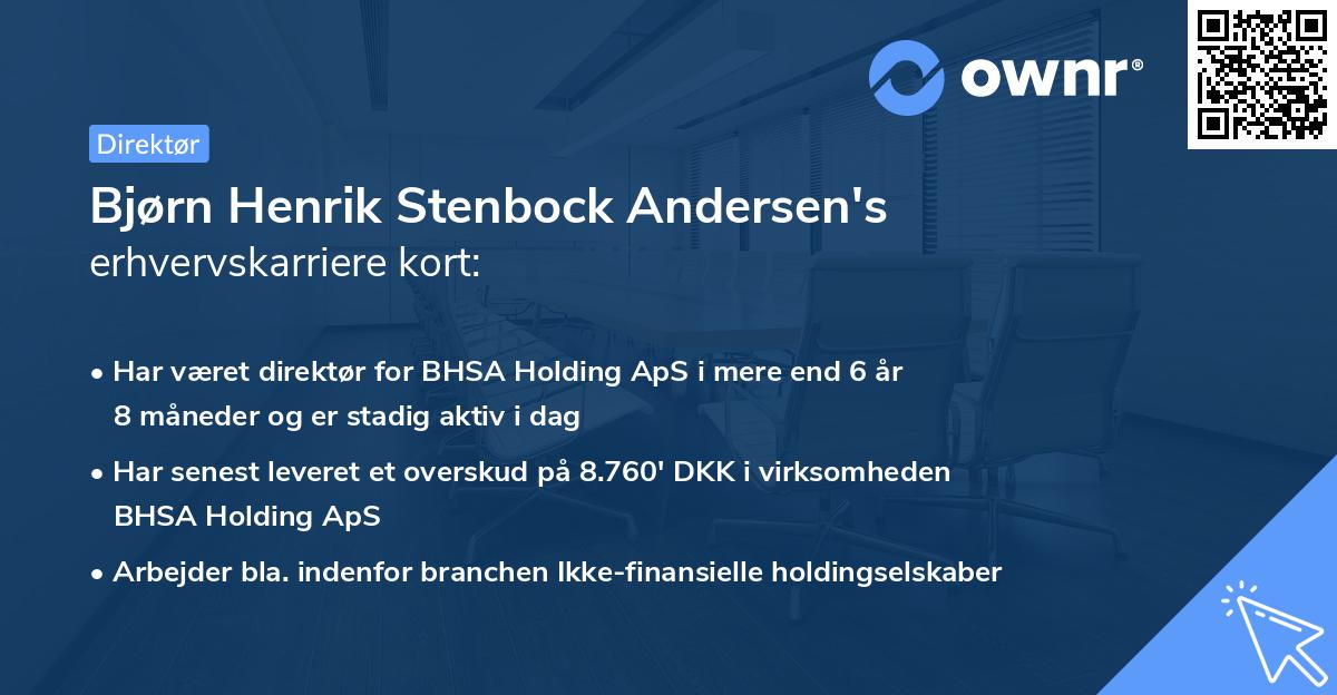 Bjørn Henrik Stenbock Andersen's erhvervskarriere kort