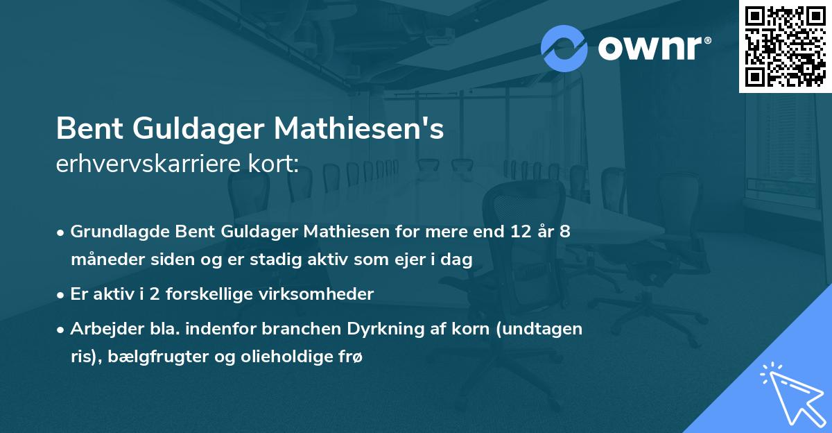 Bent Guldager Mathiesen's erhvervskarriere kort