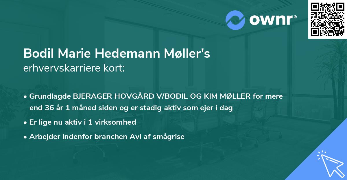 Bodil Marie Hedemann Møller's erhvervskarriere kort