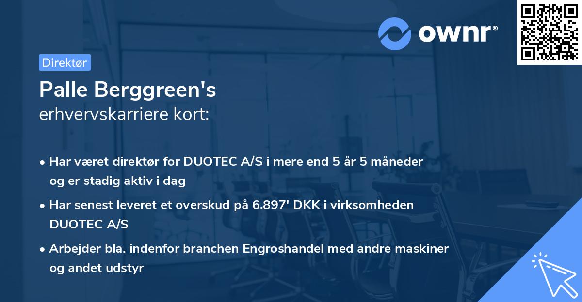 Palle Berggreen's erhvervskarriere kort