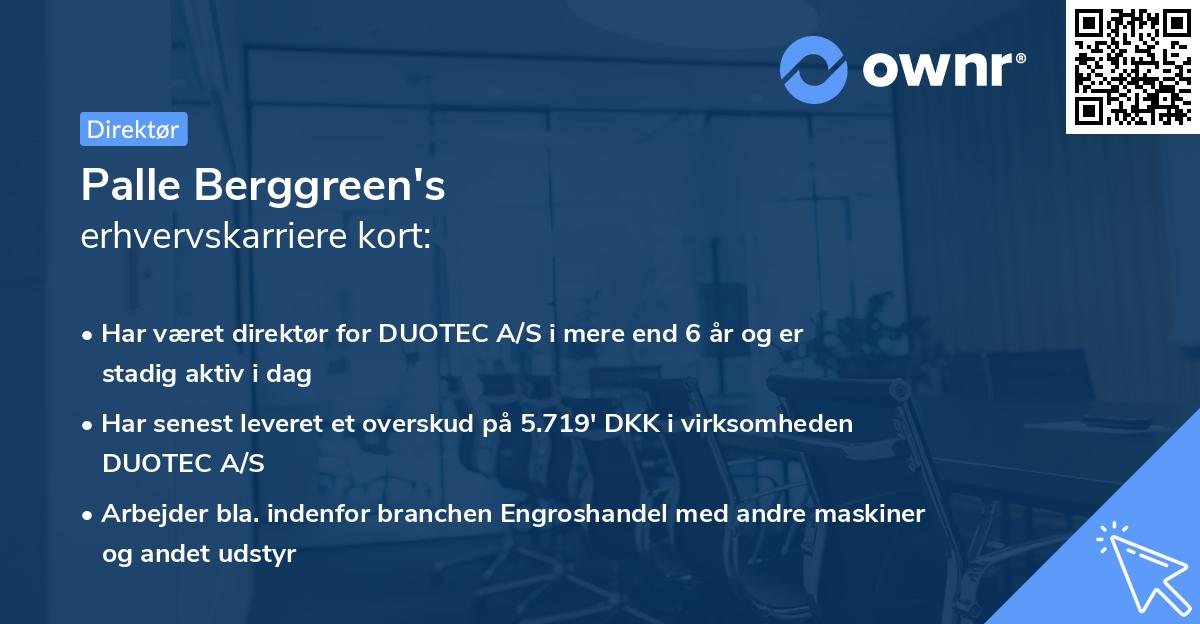 Palle Berggreen's erhvervskarriere kort