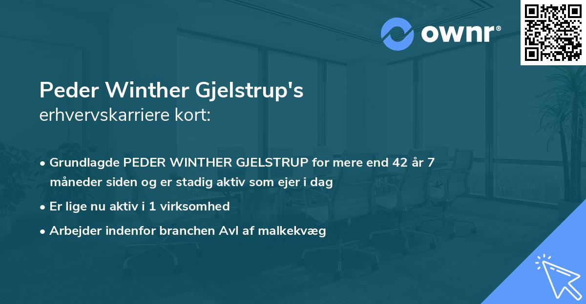 Peder Winther Gjelstrup's erhvervskarriere kort