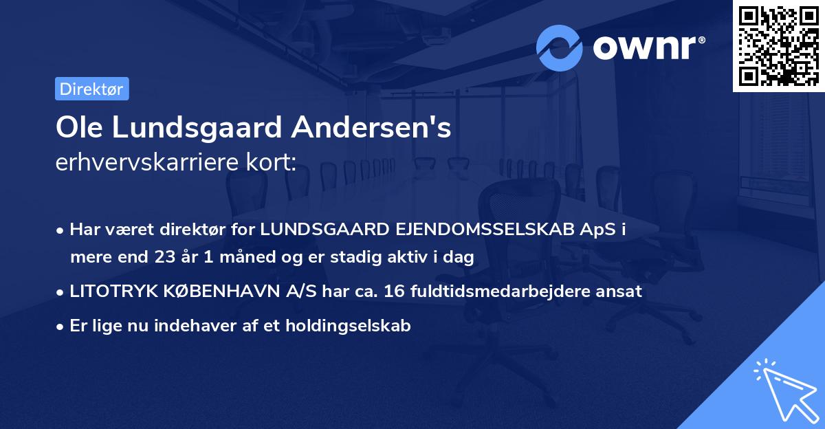 Ole Lundsgaard Andersen's erhvervskarriere kort