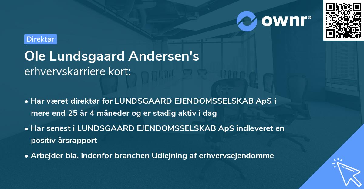 Ole Lundsgaard Andersen's erhvervskarriere kort