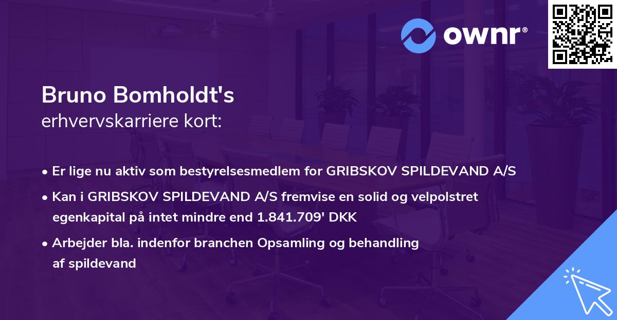 Bruno Bomholdt's erhvervskarriere kort