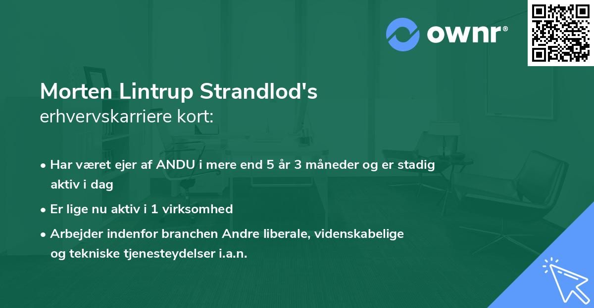 Morten Lintrup Strandlod's erhvervskarriere kort