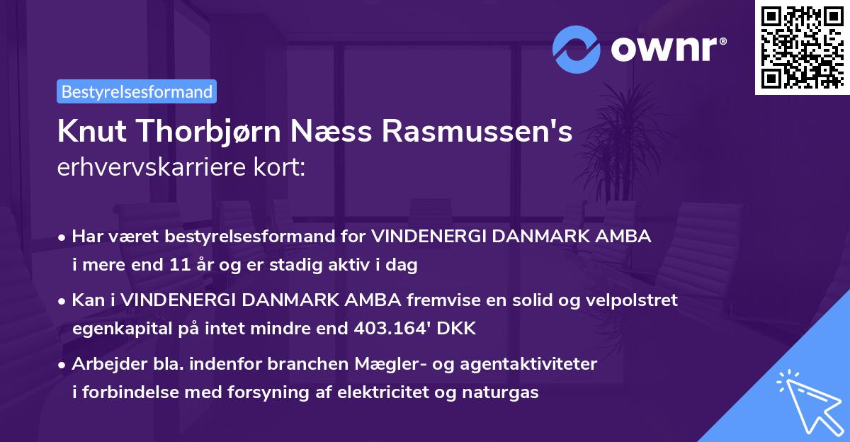 Knut Thorbjørn Næss Rasmussen's erhvervskarriere kort