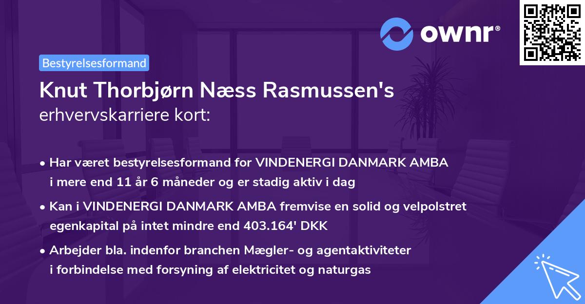 Knut Thorbjørn Næss Rasmussen's erhvervskarriere kort