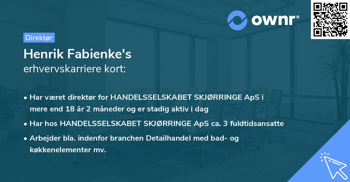 Henrik Fabienke's erhvervskarriere kort