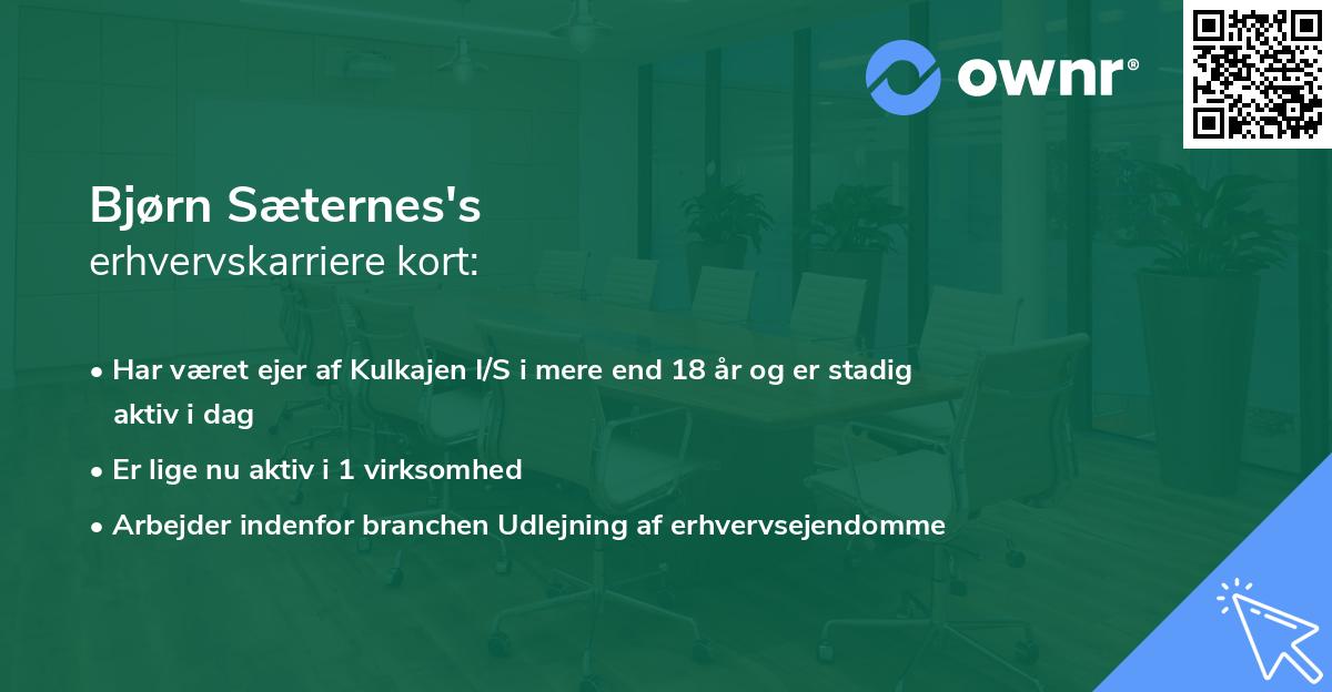 Bjørn Sæternes's erhvervskarriere kort