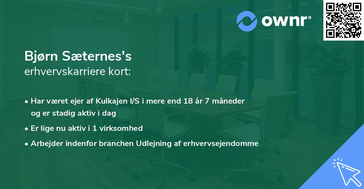 Bjørn Sæternes's erhvervskarriere kort