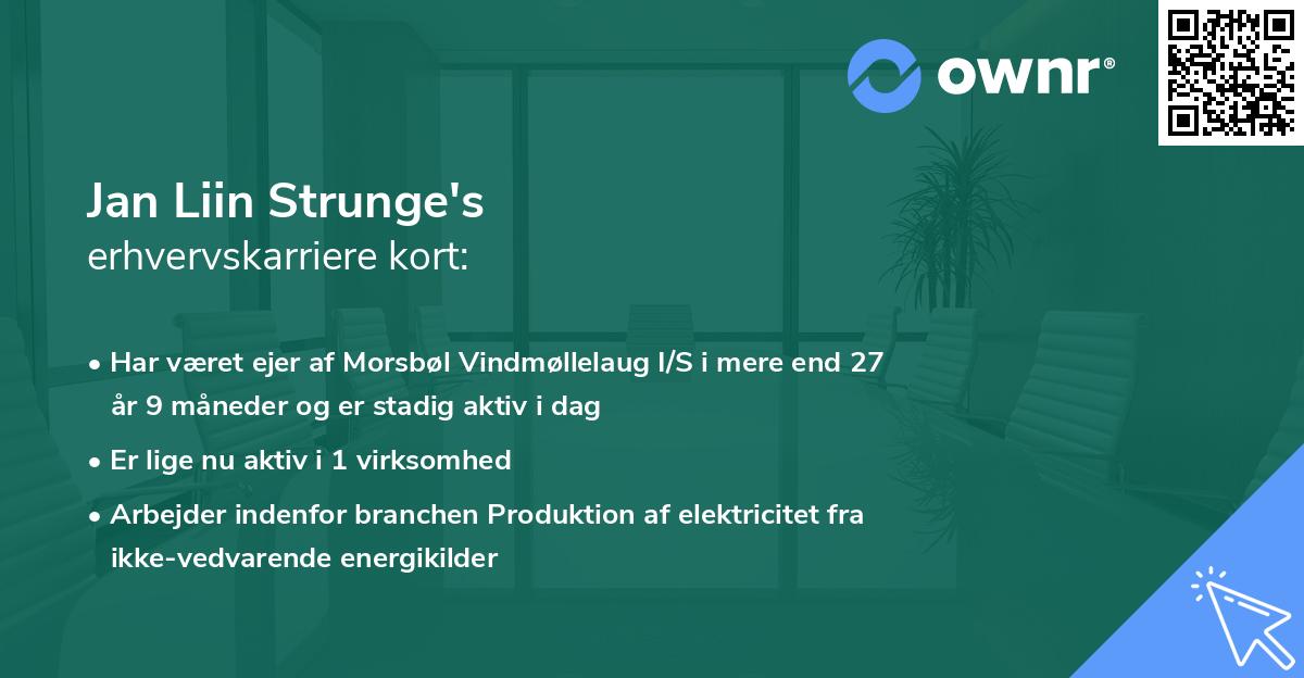 Jan Liin Strunge's erhvervskarriere kort