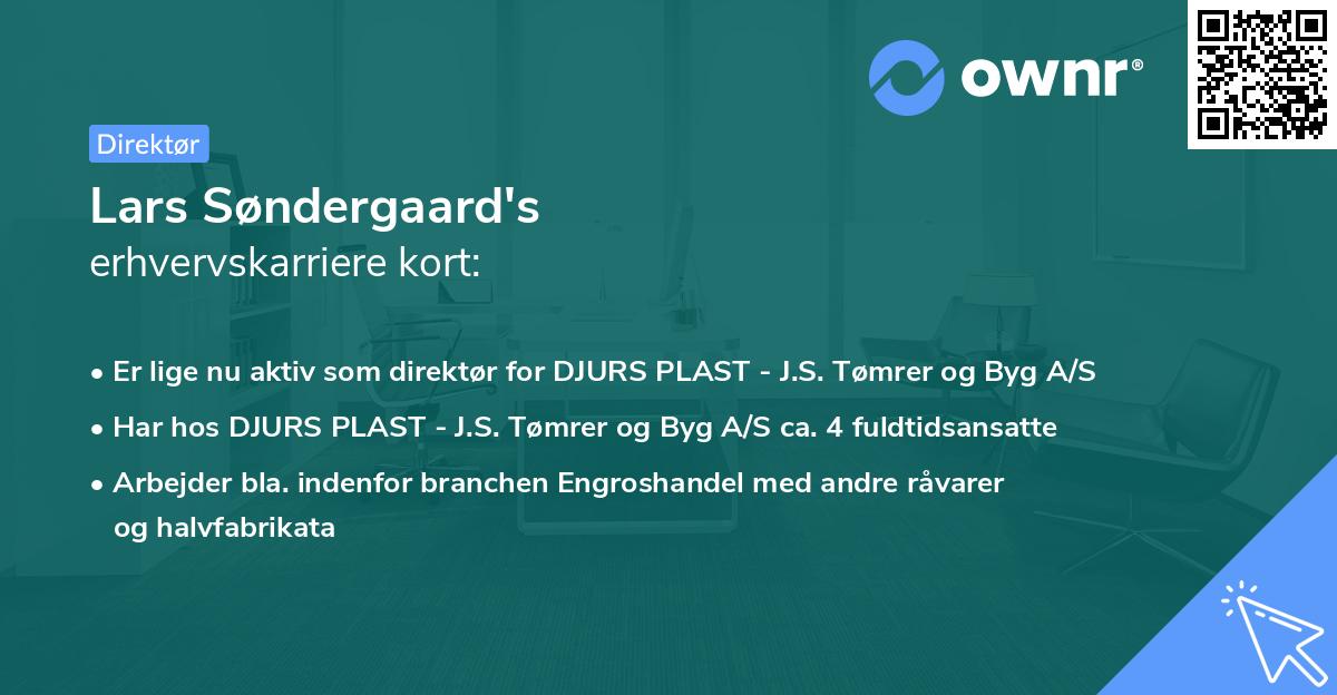 Lars Søndergaard's erhvervskarriere kort