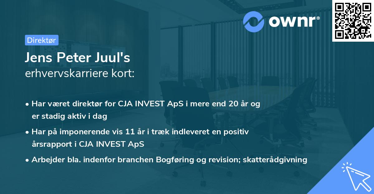Jens Peter Juul's erhvervskarriere kort