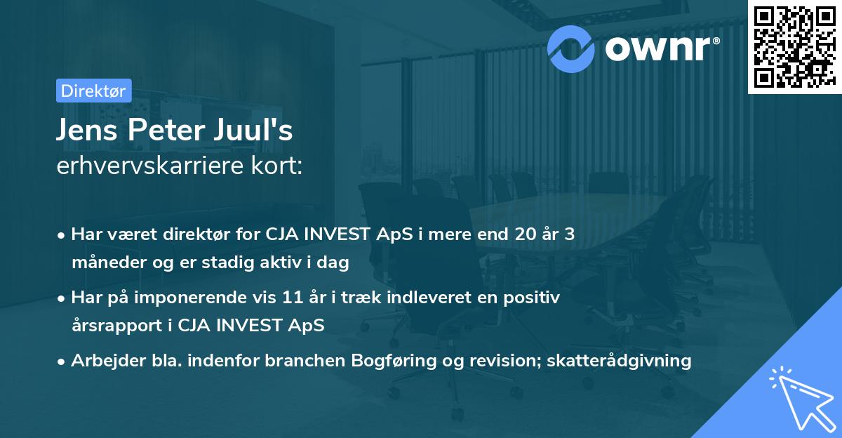 Jens Peter Juul's erhvervskarriere kort