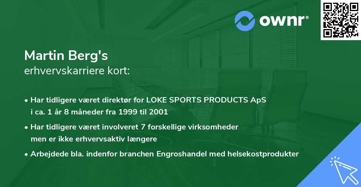 Martin Berg's erhvervskarriere kort
