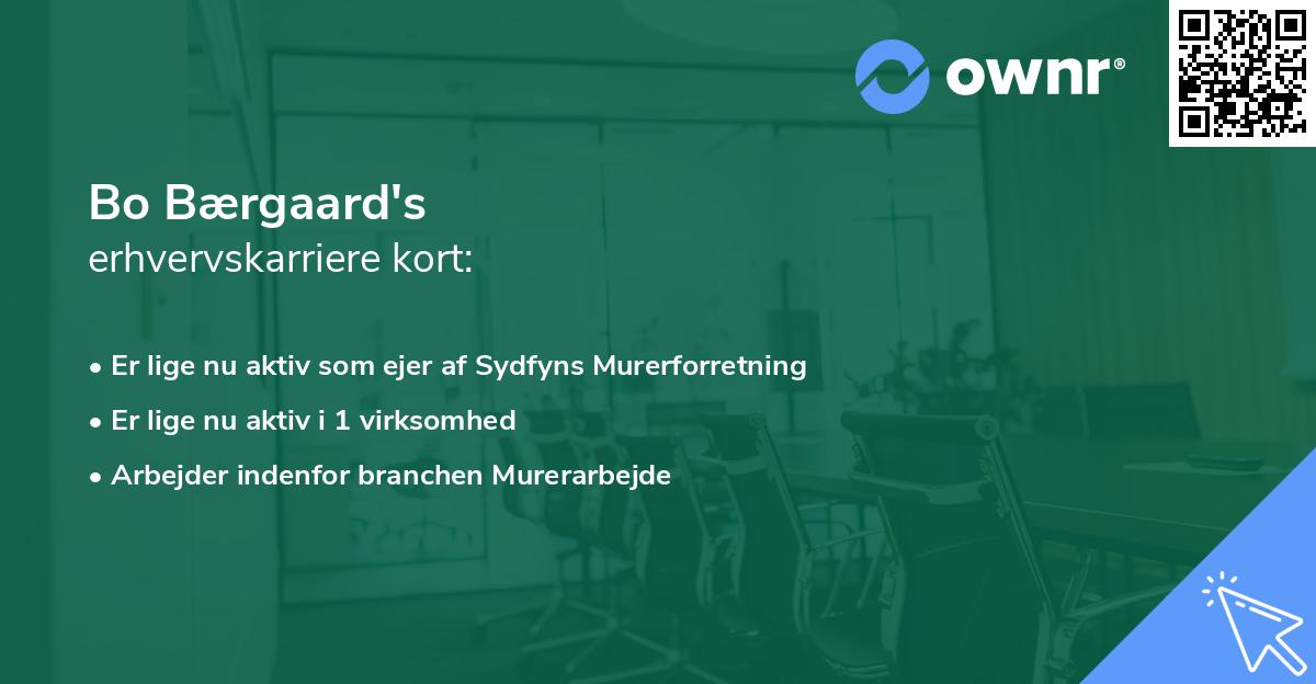 Bo Bærgaard's erhvervskarriere kort