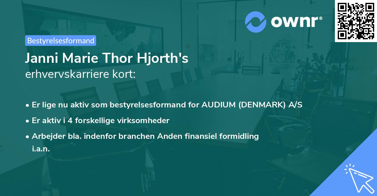 Janni Marie Thor Hjorth's erhvervskarriere kort