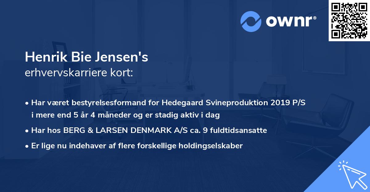 Henrik Bie Jensen's erhvervskarriere kort