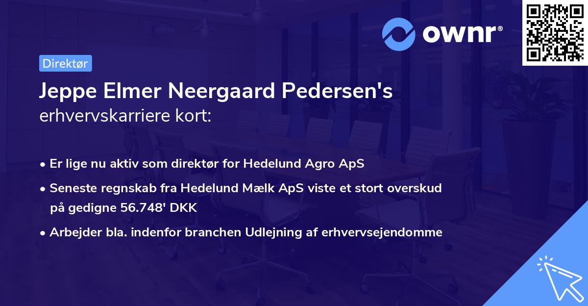 Jeppe Elmer Neergaard Pedersen's erhvervskarriere kort