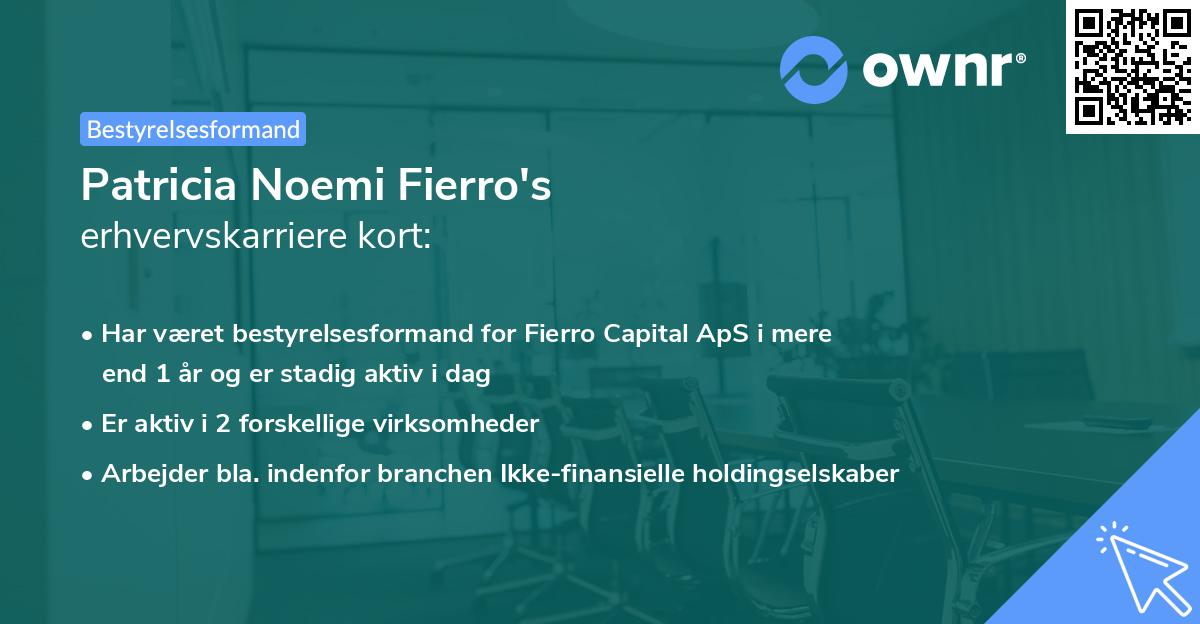 Patricia Noemi Fierro's erhvervskarriere kort