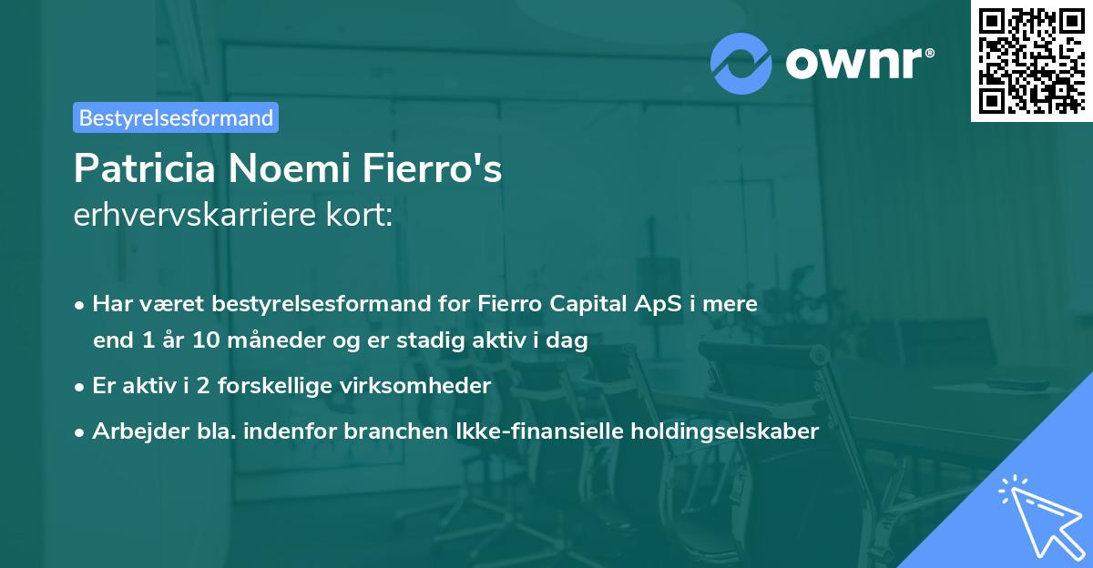 Patricia Noemi Fierro's erhvervskarriere kort