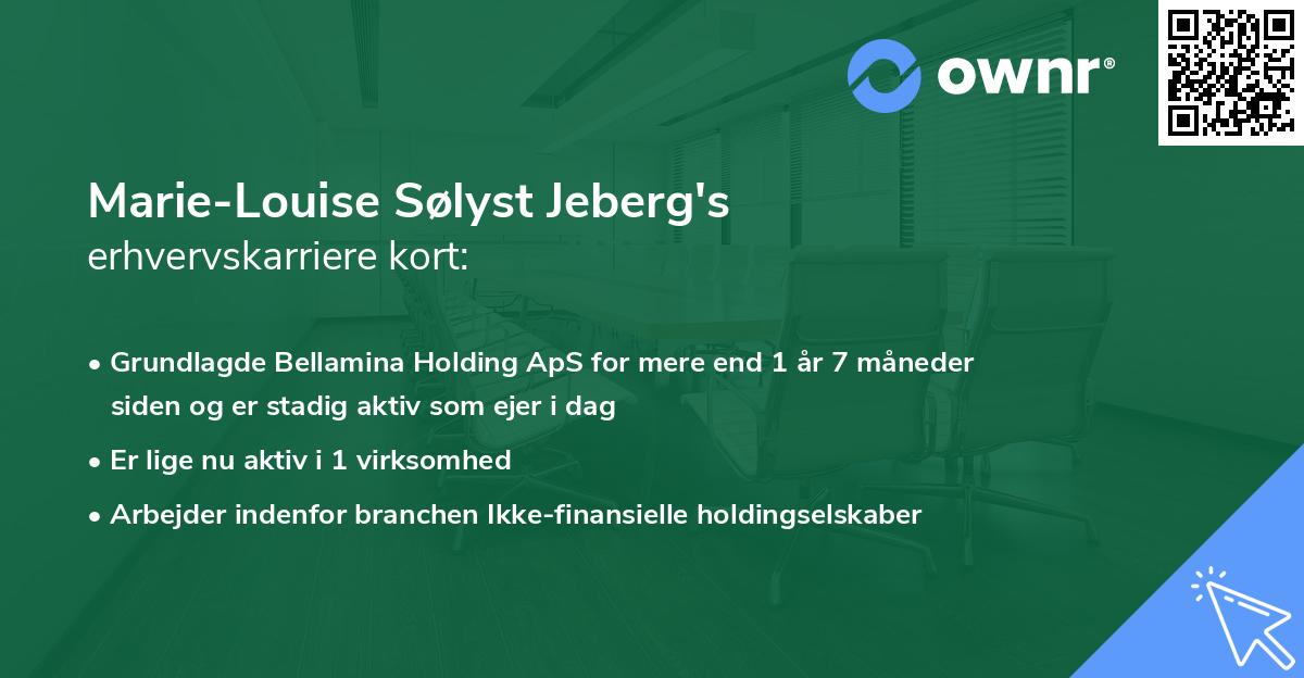 Marie-Louise Sølyst Jeberg's erhvervskarriere kort