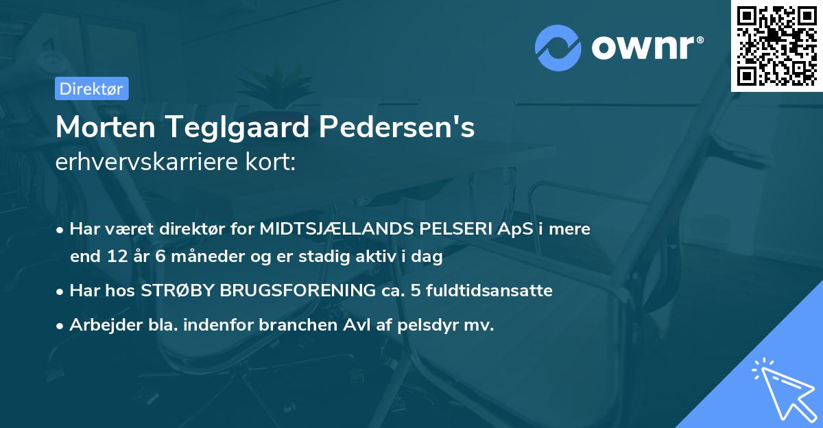 Morten Teglgaard Pedersen's erhvervskarriere kort