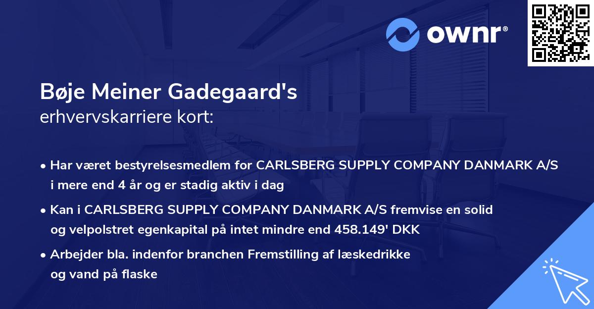 Bøje Meiner Gadegaard's erhvervskarriere kort