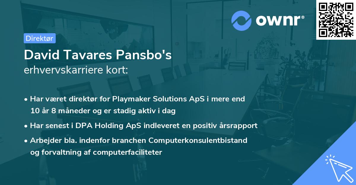 David Tavares Pansbo's erhvervskarriere kort