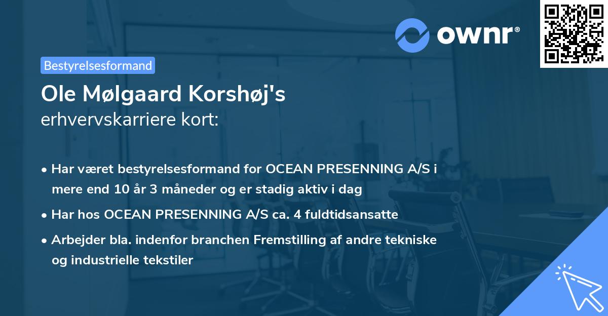Ole Mølgaard Korshøj's erhvervskarriere kort