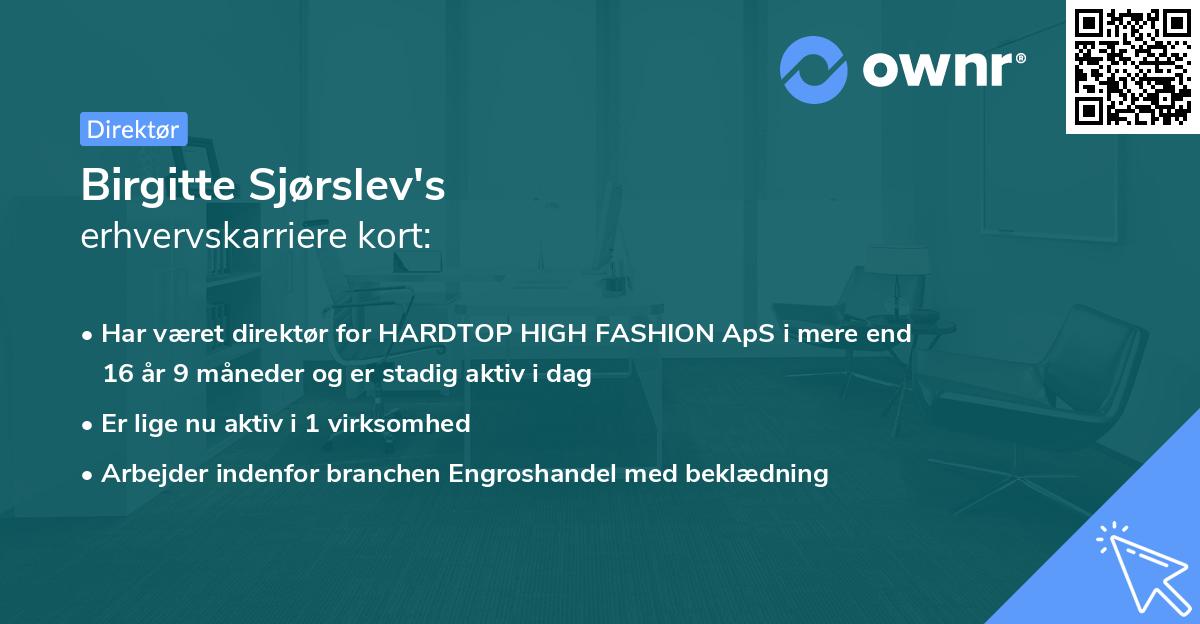 Birgitte Sjørslev's erhvervskarriere kort