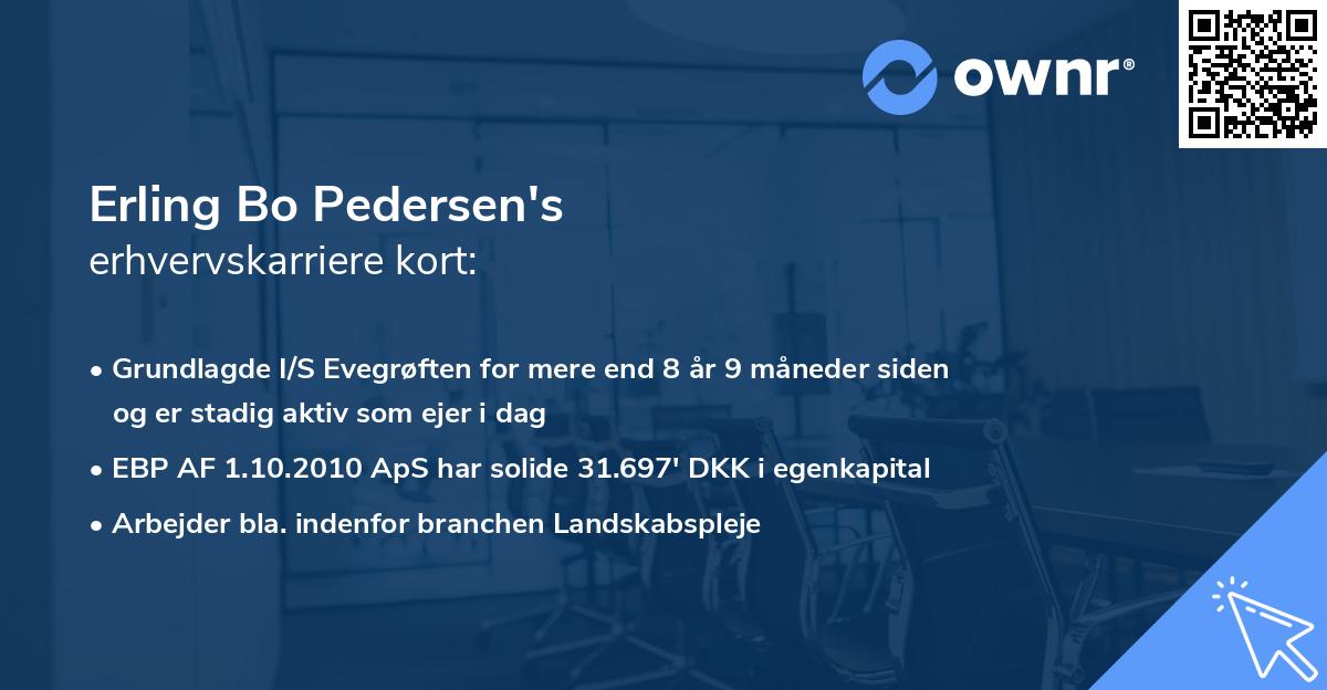Erling Bo Pedersen's erhvervskarriere kort