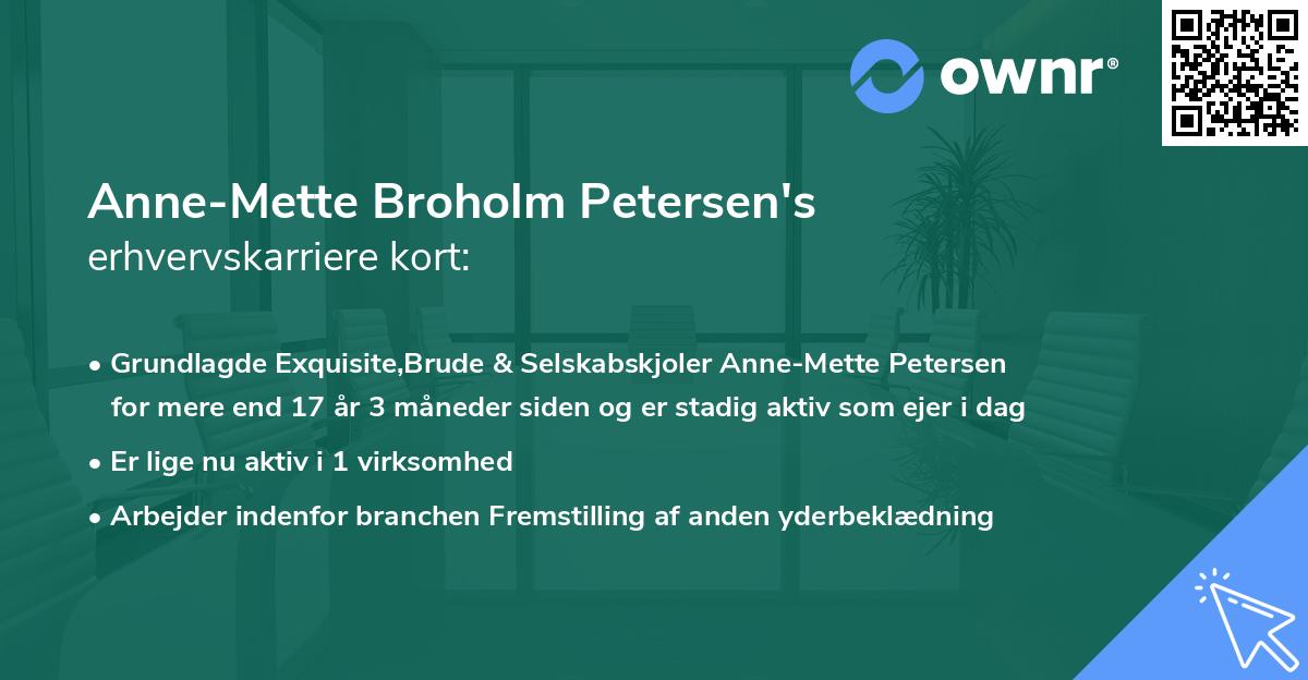 Anne-Mette Broholm Petersen's erhvervskarriere kort