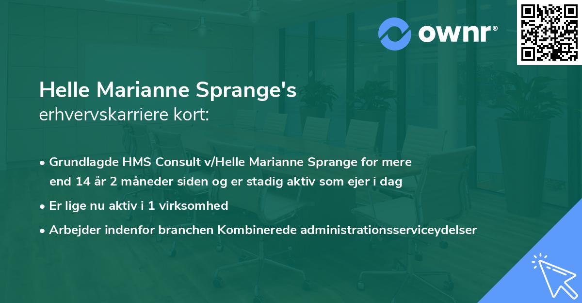 Helle Marianne Sprange's erhvervskarriere kort