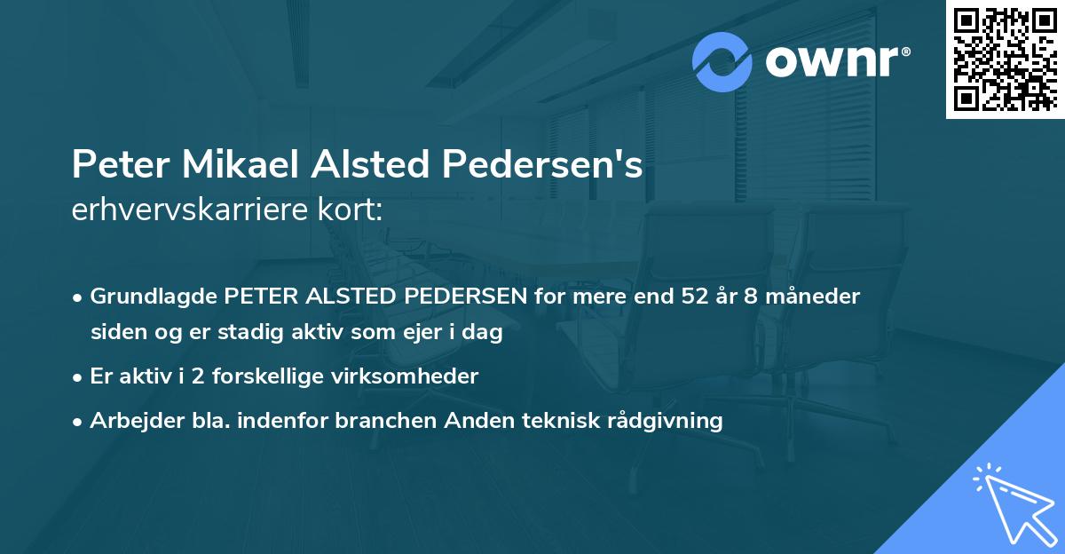 Peter Mikael Alsted Pedersen's erhvervskarriere kort