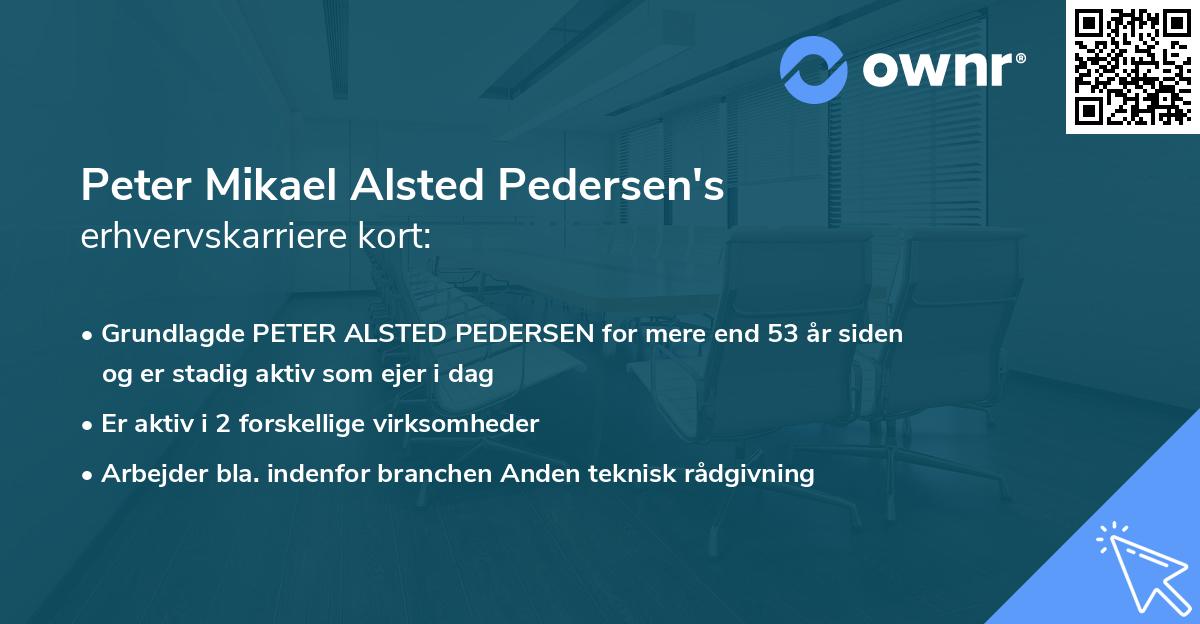 Peter Mikael Alsted Pedersen's erhvervskarriere kort