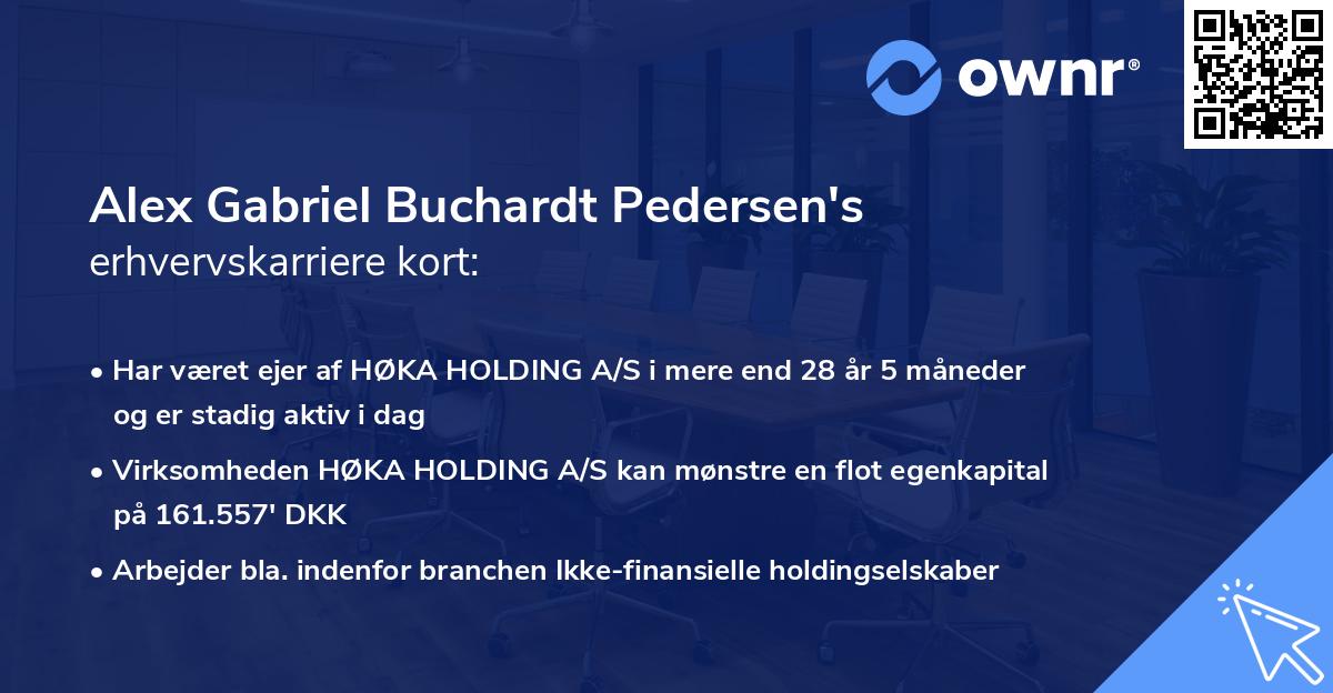 Alex Gabriel Buchardt Pedersen's erhvervskarriere kort