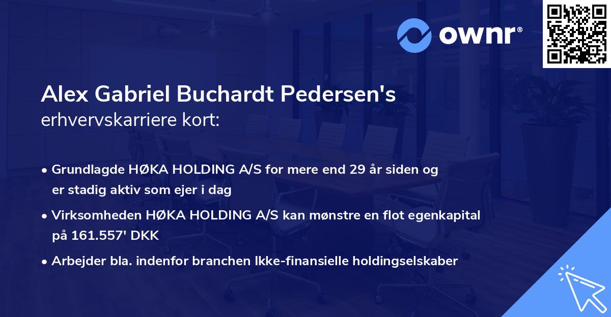Alex Gabriel Buchardt Pedersen's erhvervskarriere kort