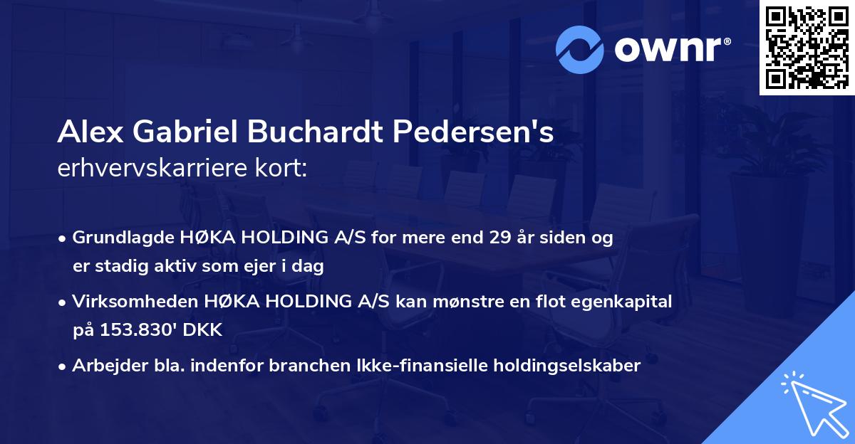 Alex Gabriel Buchardt Pedersen's erhvervskarriere kort