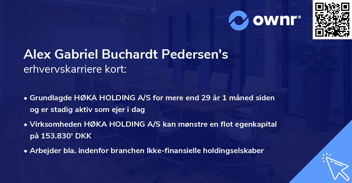 Alex Gabriel Buchardt Pedersen's erhvervskarriere kort