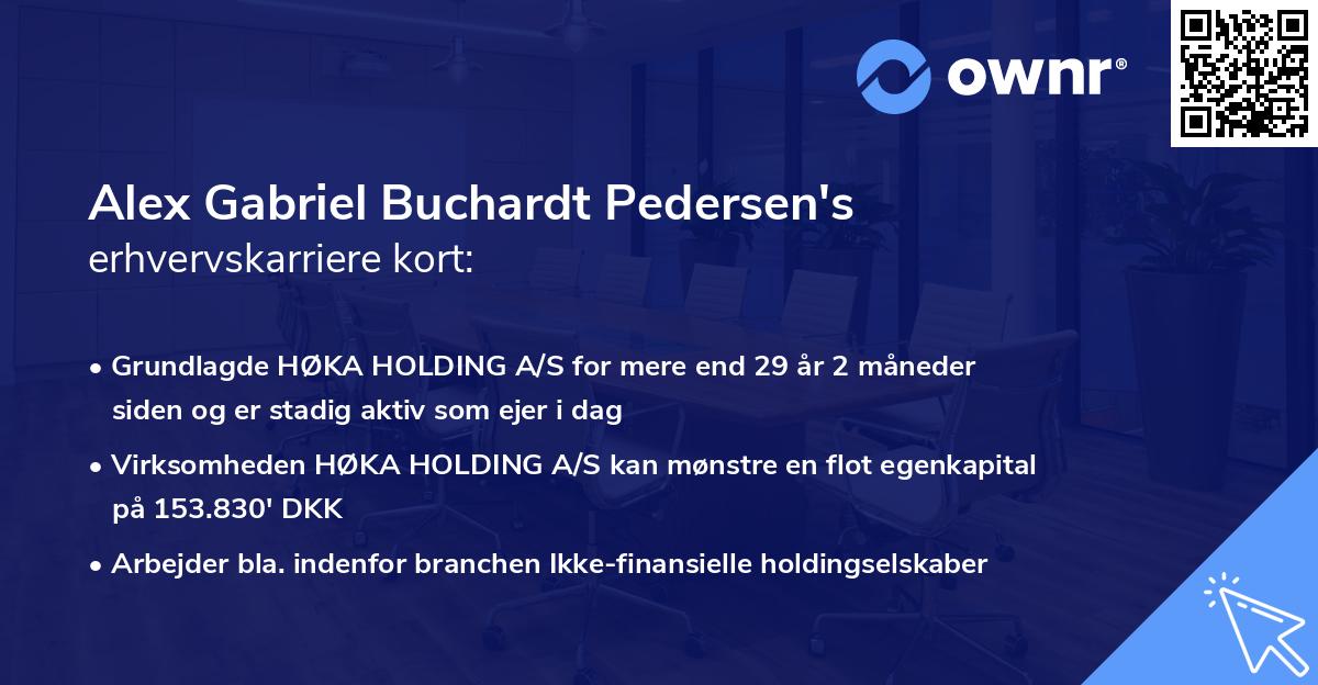 Alex Gabriel Buchardt Pedersen's erhvervskarriere kort