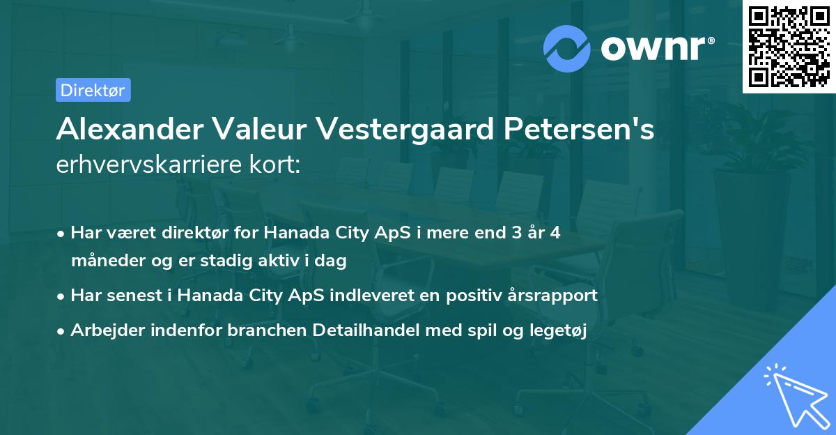 Alexander Valeur Vestergaard Petersen's erhvervskarriere kort