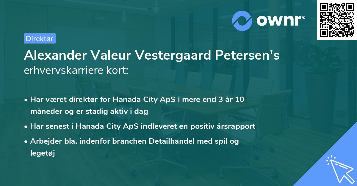 Alexander Valeur Vestergaard Petersen's erhvervskarriere kort