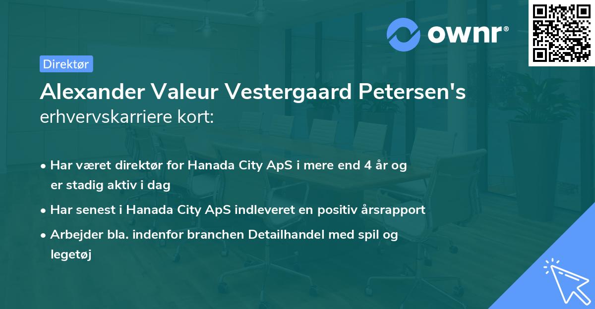 Alexander Valeur Vestergaard Petersen's erhvervskarriere kort