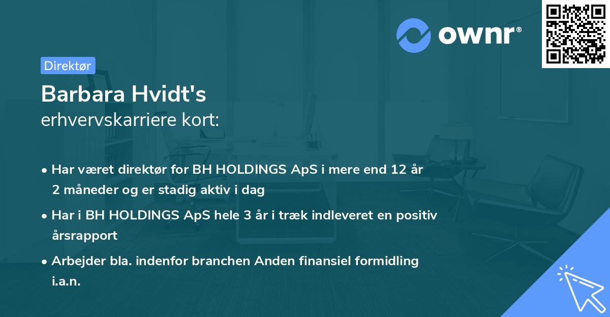 Barbara Hvidt's erhvervskarriere kort